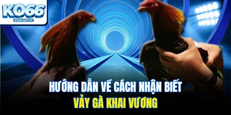 Hướng dẫn về cách nhận biết vảy gà khai vương